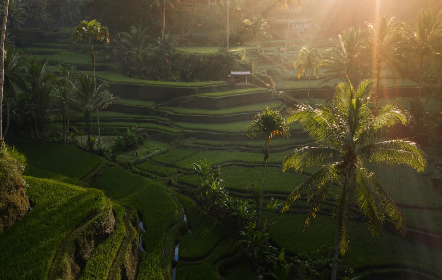bg image https://cebytb37gqewrsv4.public.blob.vercel-storage.com/Bali%20Internship%20-%20Social%20Media%20-%20Header-Ghzw7XuEvtJzNqV8kM7pSaUs7L9owh.jpg