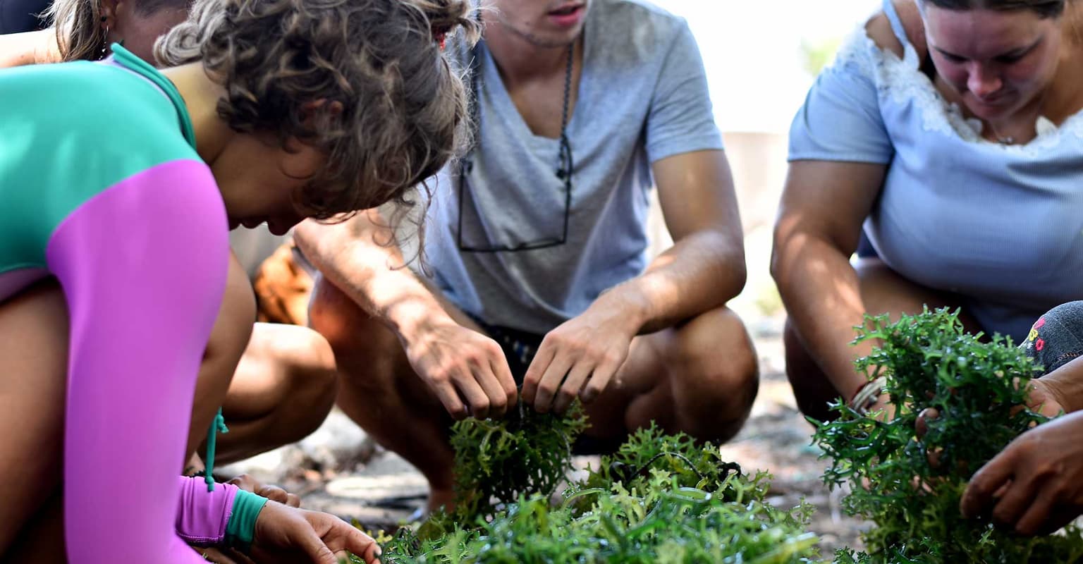 bg image https://cebytb37gqewrsv4.public.blob.vercel-storage.com/bali-semester-abroad-indonesia-28017-Zrl3Mfv2BCjYUPVC2H3BhSmD2oLyYf.jpg