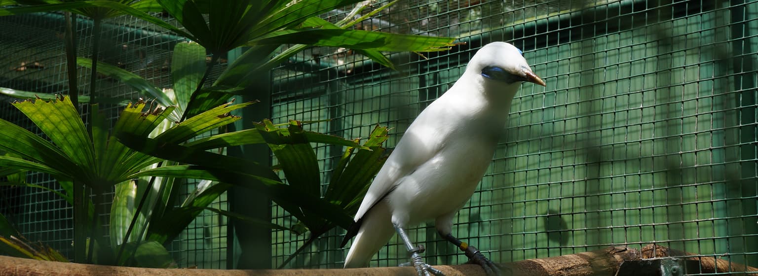 bg image https://cebytb37gqewrsv4.public.blob.vercel-storage.com/bali-volunteer-indonesia-15737-zsOn5DAEn6jhGZ7PG5V00sTckQXqVs.jpg