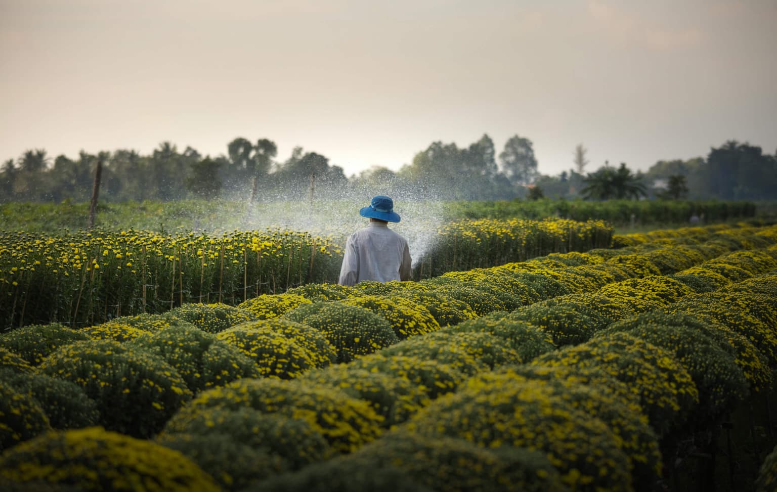 bg image https://cebytb37gqewrsv4.public.blob.vercel-storage.com/internship-singapore-agriculture-program-header-zGi2a7xiYKXO2UezwEVnS4iI72cmFR.jpg