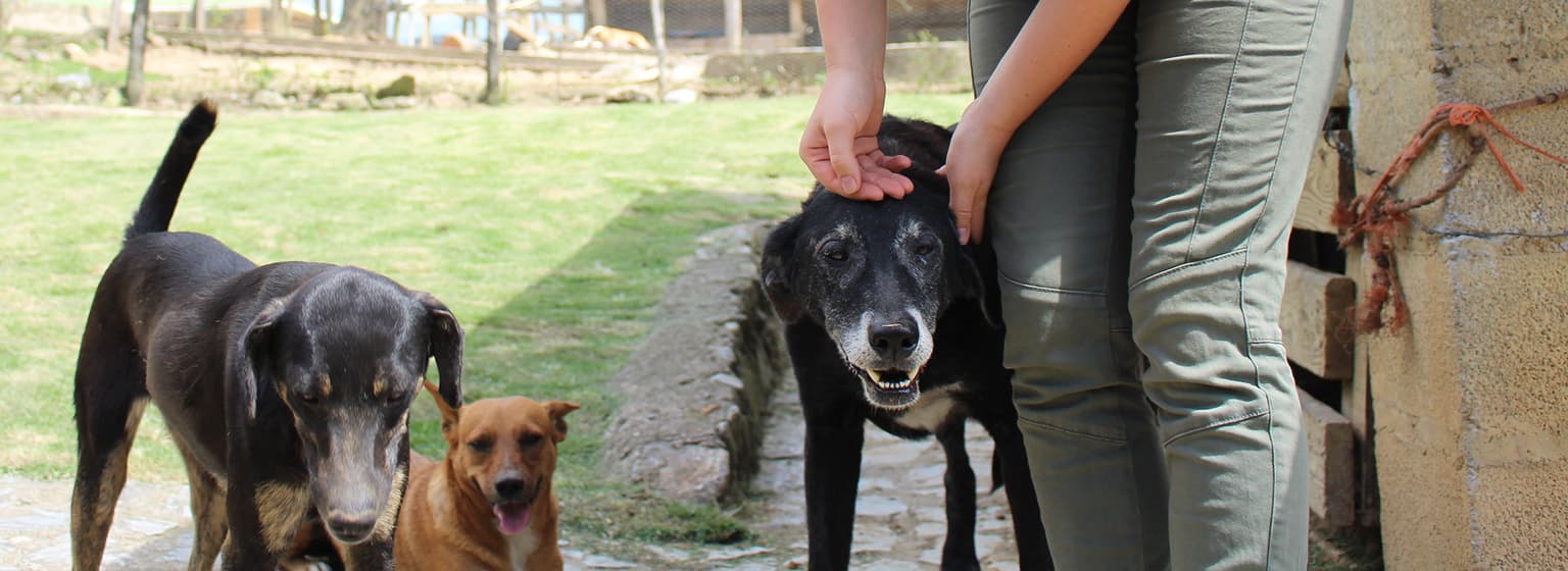 bg image https://cebytb37gqewrsv4.public.blob.vercel-storage.com/samana-internship-dominican-republic-27906-S8y6Sqy1xuVZgSXf80H5rAbb9ZDShH.jpg