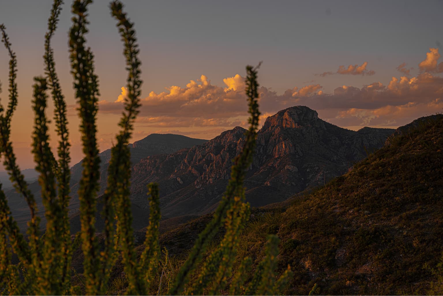 bg image https://cebytb37gqewrsv4.public.blob.vercel-storage.com/social-project-chalma-mexico-j8pEmuSNWd35hN3tXXXoLB3Z0psrvq.jpg